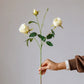 Tallo de rosa jardín vintage – 25"