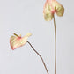 Sculptural Anthurium Stem – 24"