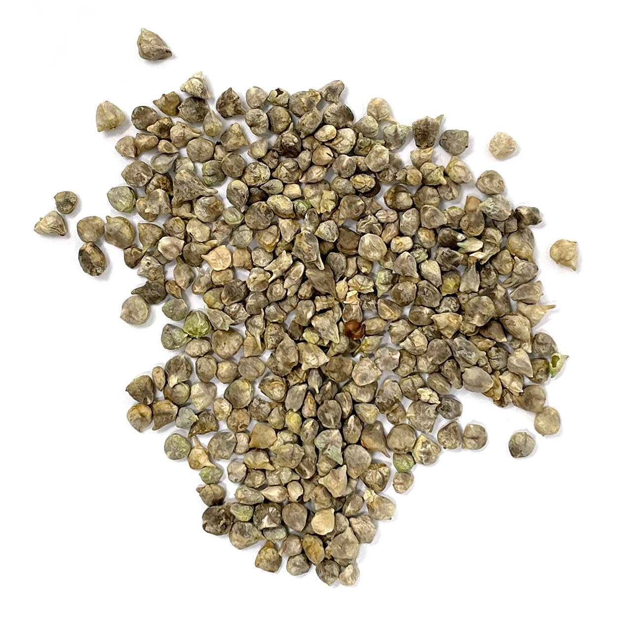 Purely Organic Bloomsdale Long Standing Spinach Seeds - USDA Organic