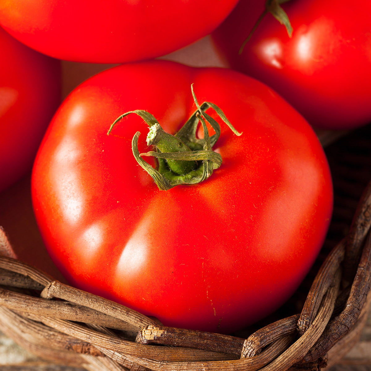 Purely Organic Ponderosa Red Beefsteak Tomato Seeds - USDA Organic
