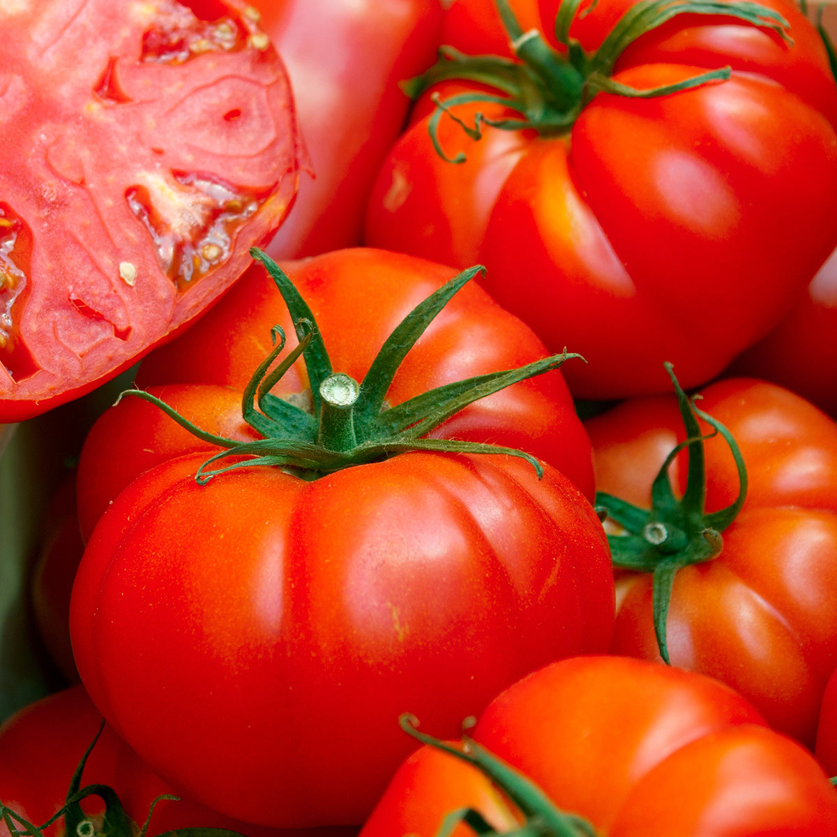 Purely Organic Ponderosa Red Beefsteak Tomato Seeds - USDA Organic