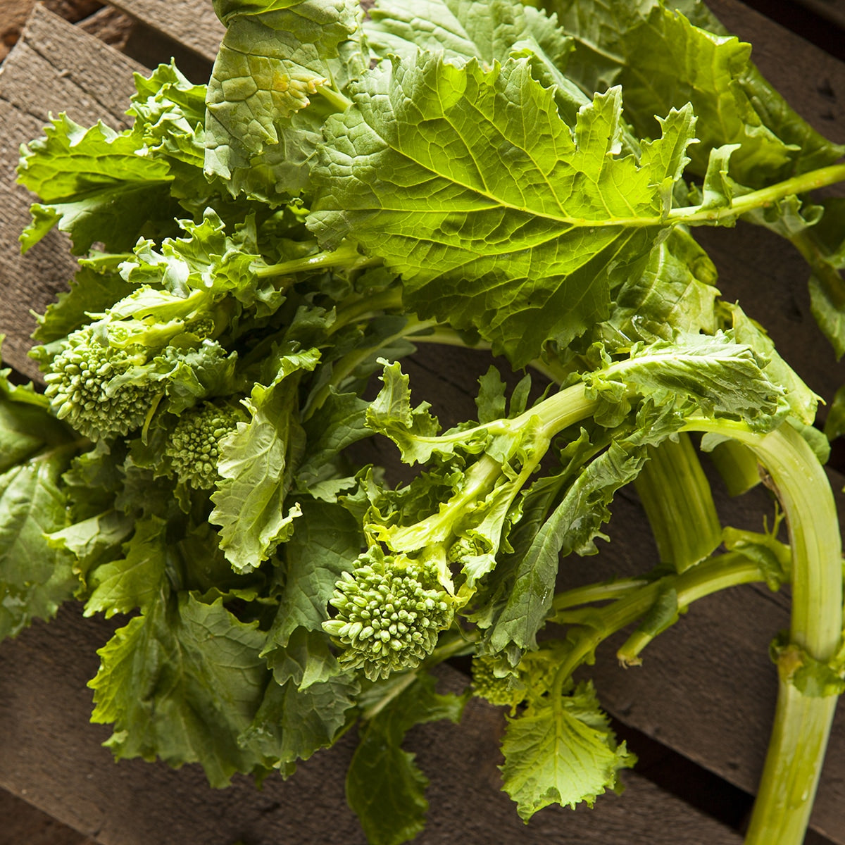 Purely Organic Spring Rapini Broccoli Raab Seeds - USDA Organic