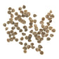 Purely Organic Cherokee Purple Tomato Seeds - USDA Organic