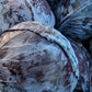 Purely Organic Red Acre Cabbage Seeds - USDA Organic