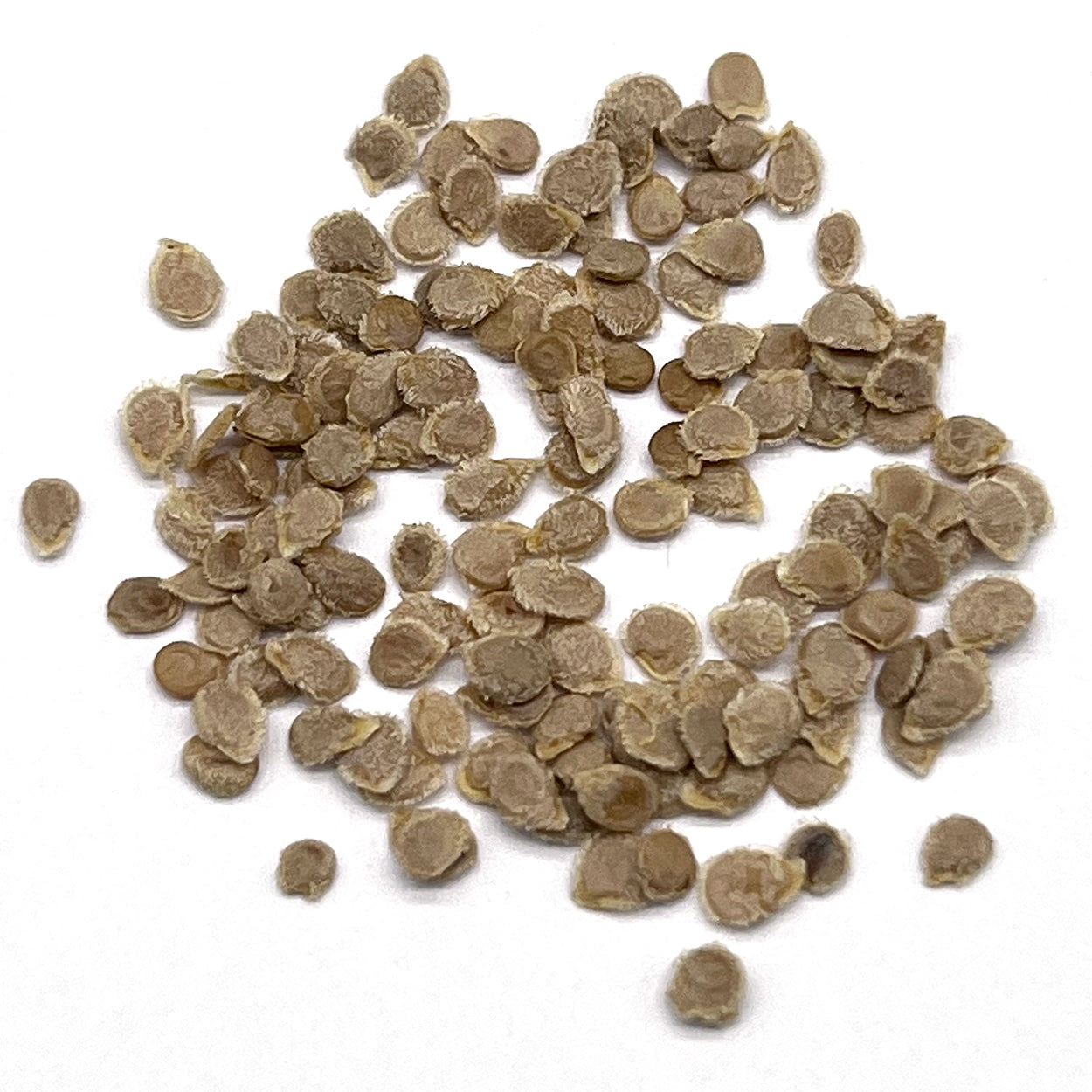 Purely Organic Ponderosa Red Beefsteak Tomato Seeds - USDA Organic