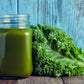 Purely Organic Vates Blue Scotch Curled Kale Seeds - USDA Organic