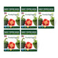 Purely Organic California Wonder Sweet Pepper Seeds - USDA Organic