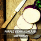 Purple Vienna Kohlrabi – 100 Seeds