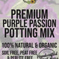 Purple Passion Premium Potting Mix