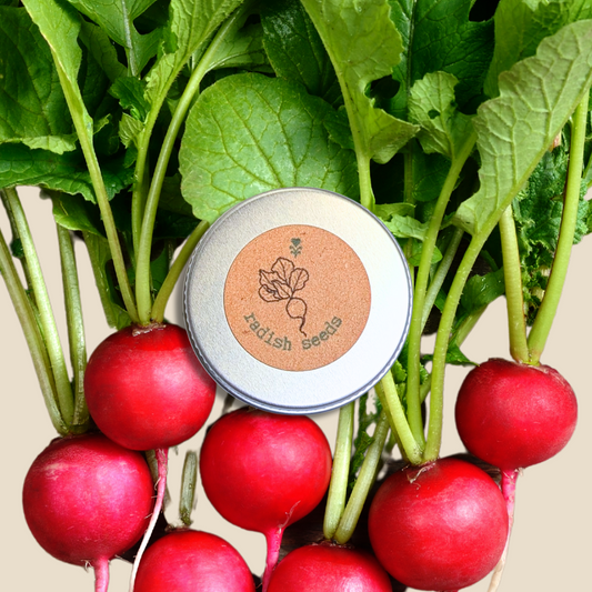 Organic Radish Seeds