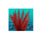 Nature's Image: Aquafern Medium, Freshwater 6" Red, Green or Rainbow Decor