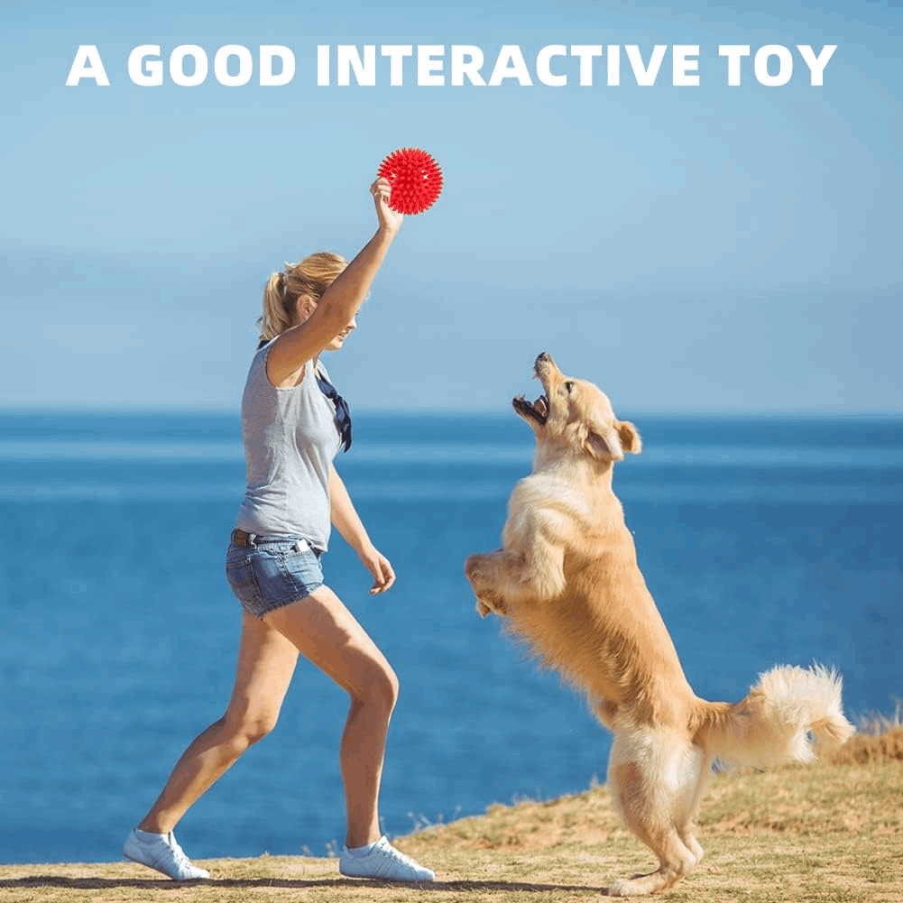 Pelotas chirriantes interactivas de 2.5” para cachorros, juguetes para la dentición, masticables para perros pequeños, limpieza dental y adiestramiento