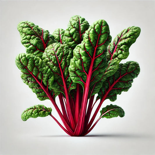 Chard (Firebird) Seeds (4x)