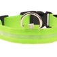 LED Adjustable Dog Collar- 5 Sizes 7 Colors  Blinking Flashing/Solid