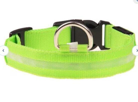 LED Adjustable Dog Collar- 5 Sizes 7 Colors  Blinking Flashing/Solid
