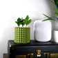 Ring of Pearls Planter Pot