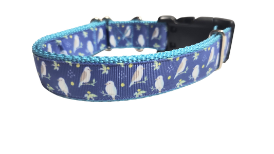 Kookaburra Bird Nylon Dog Collar