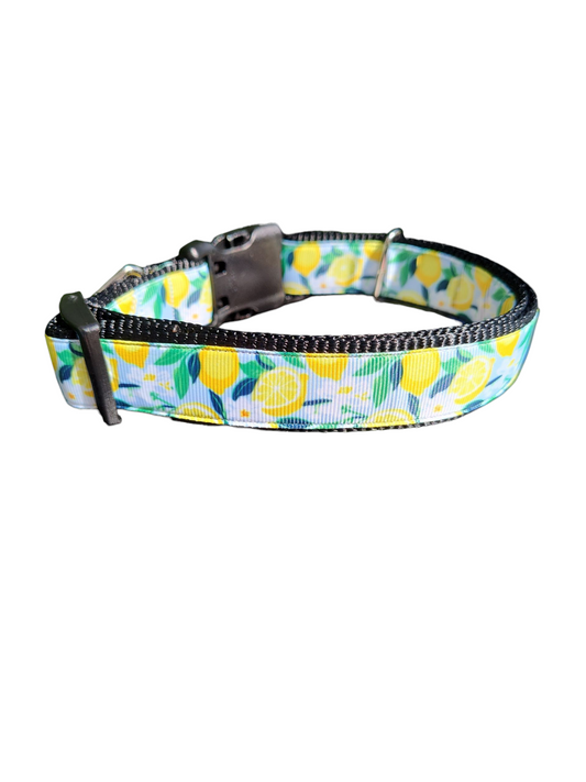 Lemon Flowers Nylon Dog Collar