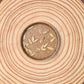 Pachypodium lamerei 'Madagascar Palm' Seeds