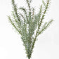 24" Faux Rosemary Bush