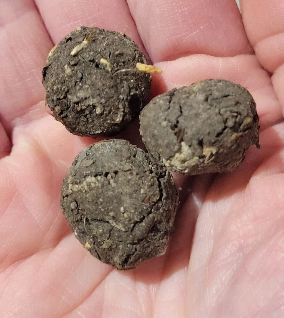 Wildflower Seed Balls - Premium Organic Annual/Perennial Mix - Midwest Variety - Eco-Friendly Seed Bombs