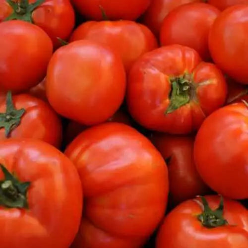 Beefsteak Tomato Seeds 100 Ct Heirloom Non-GMO Vegetable Garden Seeds (Solanum lycopersicum)