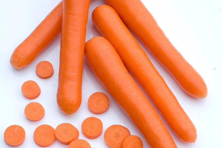 Bolero Carrot Seeds - 1000+ Seeds for Garden Planting - Daucus carota - USA Grown - Non-GMO