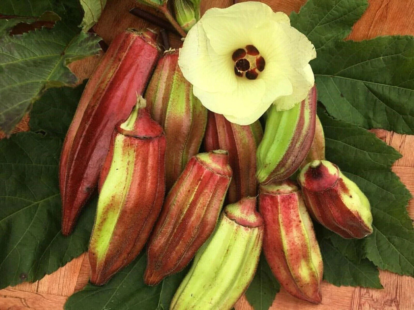 Texas Hill Country Red Okra Seeds - 25+ Heirloom NON-GMO Seeds for Garden Planting - Abelmoschus esculentus