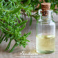 Winter Savory – 100 Seeds
