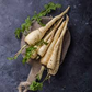 100+ Parsnip Seeds for Planting | Heirloom Pastinaca sativa | Cool Season Root Vegetable for Garden Beds, Raised Rows, or Containers