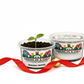 Banana Pepper Growing Kit - Pepper Seed Starter Kit