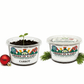 Carrot Grow Kit | Grow Carrot from Seed | Seeds In A Cup®