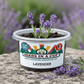 Lavender Growing Kit - Herb Seed Starter Kit