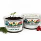 Lemon Balm Grow Kit | Grow Fresh Lemon Balm from Seed | Seeds In A Cup®