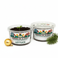 Lettuce Growing Kit - Vegetable Seed Starter Kit