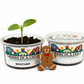 Mustard Greens Grow Kit | Grow Mustard Greens from Seed | Seeds In A Cup®