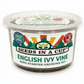 Parsley Grow Kit | Grow Fresh Parsley from Seed | Seeds In A Cup®