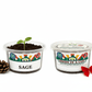 Sage Growing Kit - Herb Seed Starter Kit