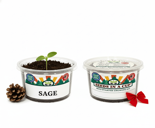 Sage Growing Kit - Herb Seed Starter Kit