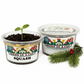 Squash Grow Kit | Grow Squash from Seed | Seeds In A Cup®