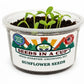 Sunflower Grow Kit | Grow Giant Sunflowers from Seed | Seeds In A Cup®