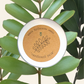 Zamia Furfuracea 'Cardboard Palm' Seeds