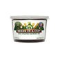 American Sycamore Tree Grow Kit | Grow American Sycamore Tree from Seed | Seeds In A Cup®