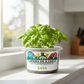 Basil Grow Kit | Grow Fresh Basil from Seed | Seeds In A Cup®