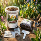 Cosmos Grow Kit | Grow Cosmos from Seed | Seeds In A Cup®