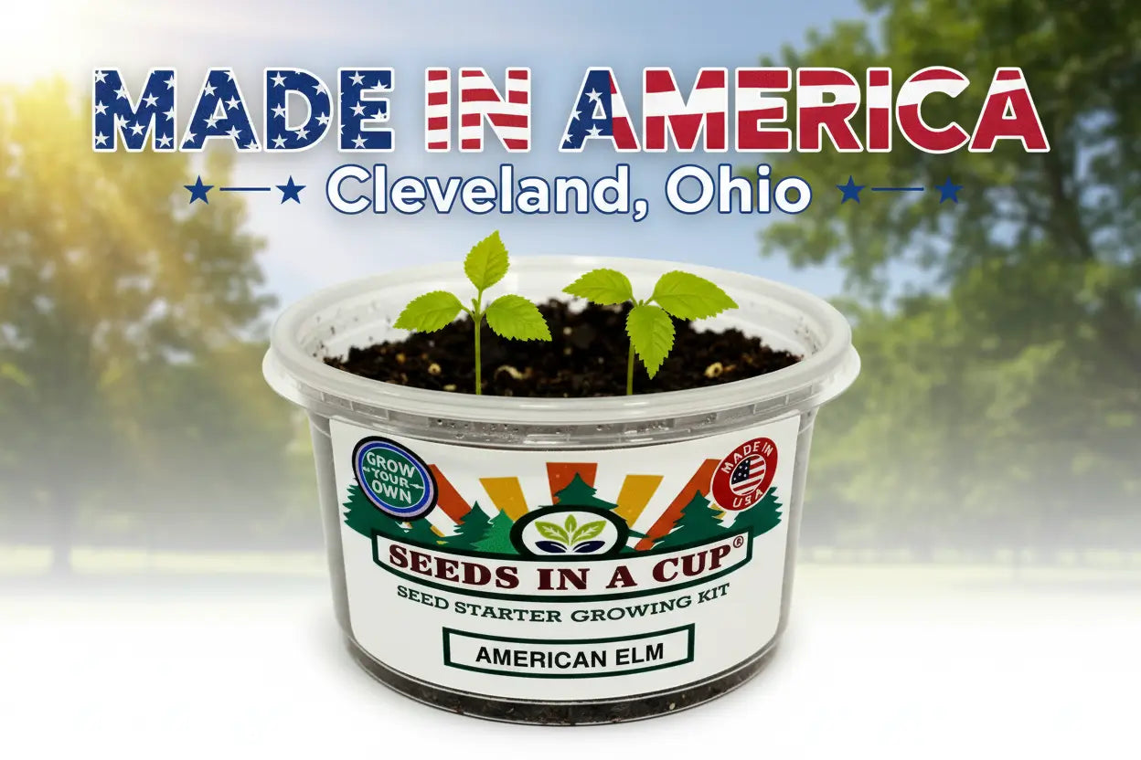 Seeds In A Cup®: All-in-One Indoor Micro-Garden Grow Kit - Kids Discovery Garden