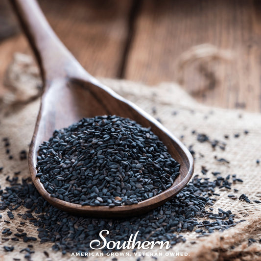 Black Sesame – 100 Seeds