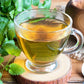 1500 LEMON BALM Melissa Officinalis Lemonbalm Fragrant Herb / Flower Seeds