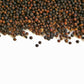 25 BLACK PEPPERCORN Black Pepper Piper Nigrum Spice Vine Seeds