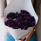 50 BLACK CARNATION King of Blacks Dianthus Caryophyllus Grenadin Double Flower Seeds